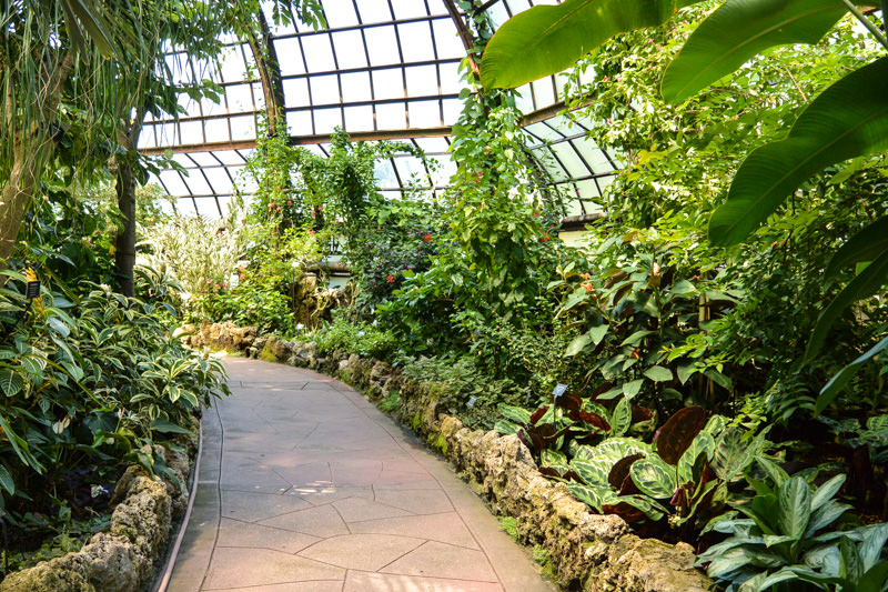 Chicago on a Budget: Free Lincoln Park Conservatory