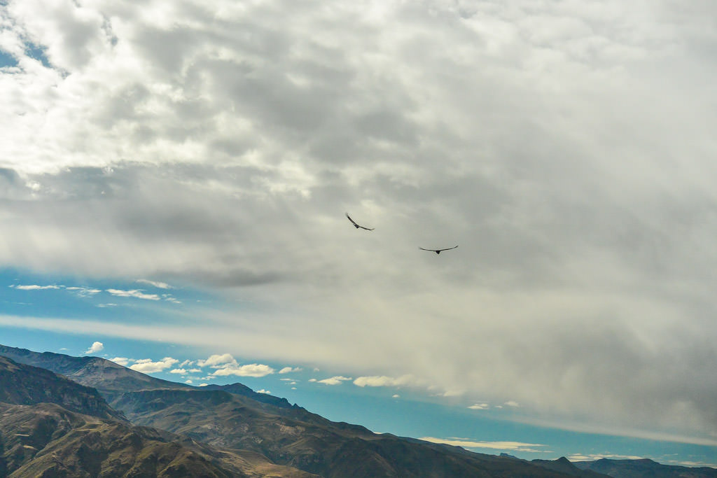 Searching for Condors in Colca Canyon